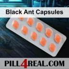 Black Ant Capsules 705