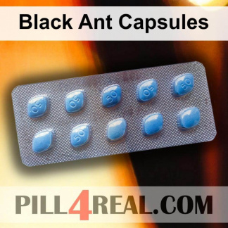 Black Ant Capsules 714