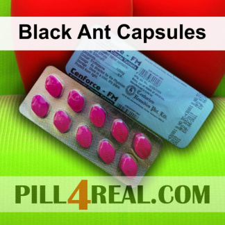 Black Ant Capsules 784