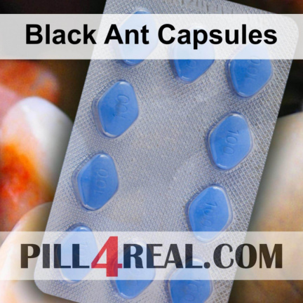 Black Ant Capsules 825