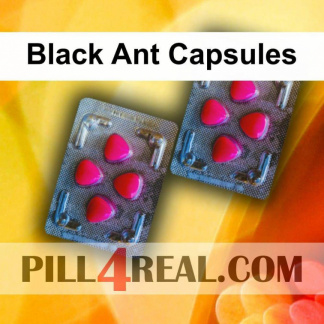 Black Ant Capsules 851