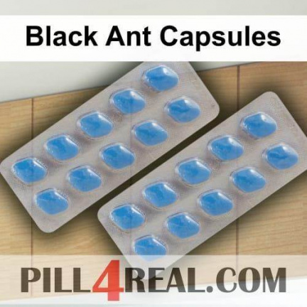 Black Ant Capsules 942