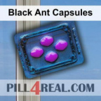 Black Ant Capsules 985