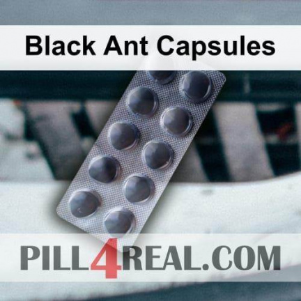 Black Ant Capsules 994