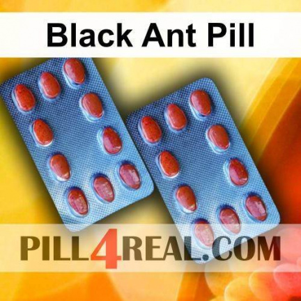 Black Ant Pill 002