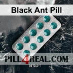 Black Ant Pill 015