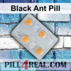 Black Ant Pill 021
