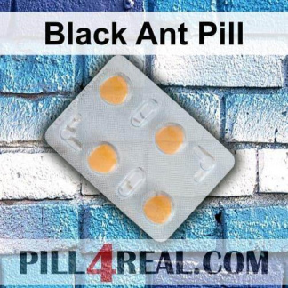 Black Ant Pill 021
