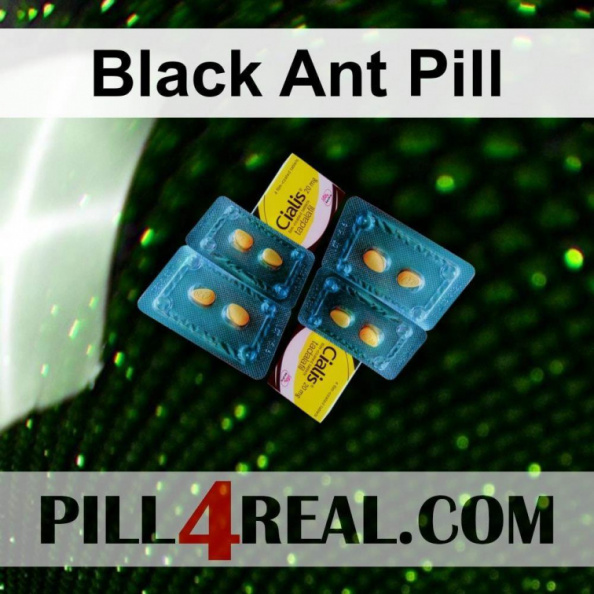 Black Ant Pill 023