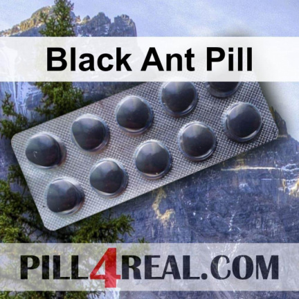 Black Ant Pill 106