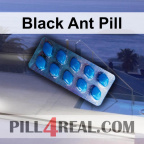 Black Ant Pill 252