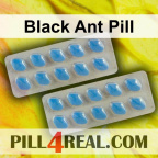 Black Ant Pill 253