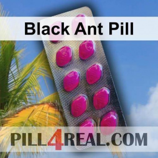 Black Ant Pill 383