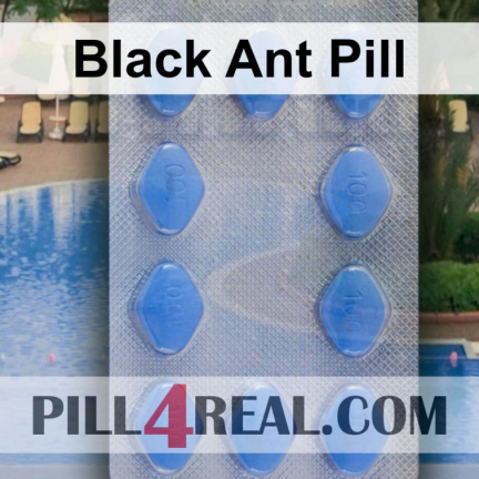 Black Ant Pill 398