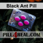 Black Ant Pill 426
