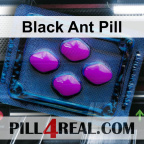 Black Ant Pill 430