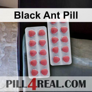Black Ant Pill 477