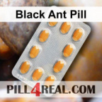 Black Ant Pill 518