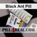 Black Ant Pill 600