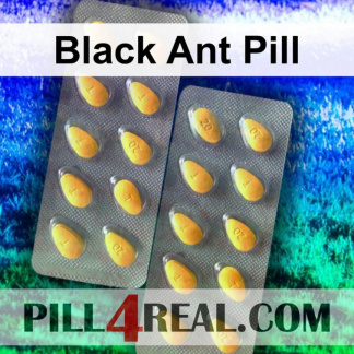 Black Ant Pill 604