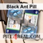 Black Ant Pill 672
