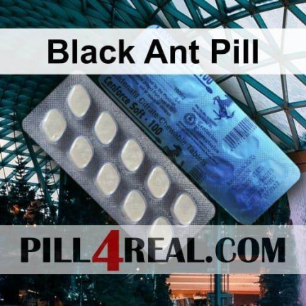 Black Ant Pill 679