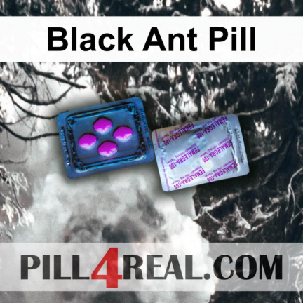Black Ant Pill 709