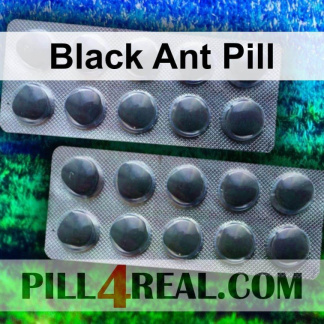 Black Ant Pill 839