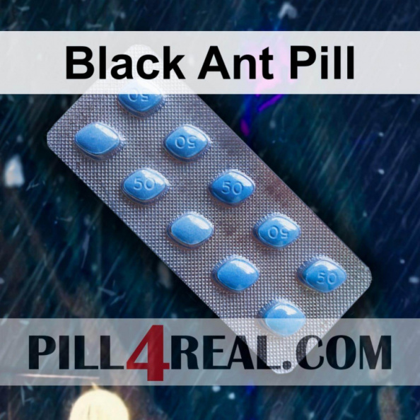 Black Ant Pill 853