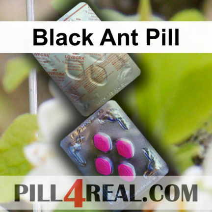 Black Ant Pill 856