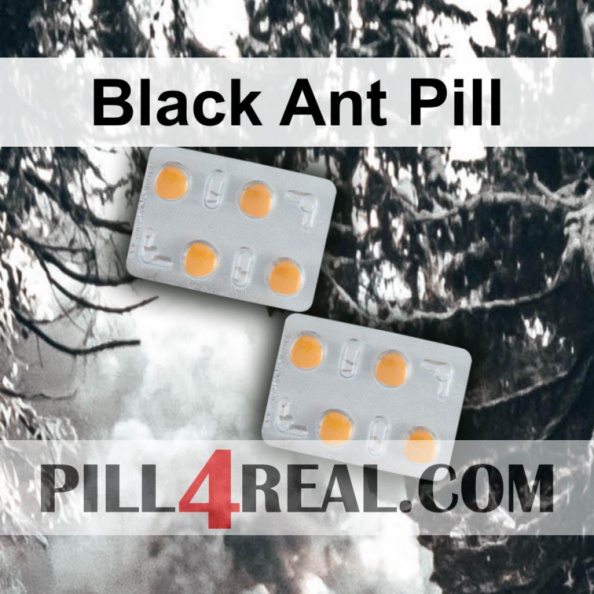 Black Ant Pill 877