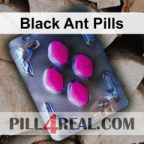 Black Ant Pills 026