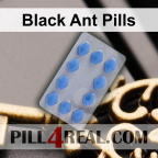 Black Ant Pills 258