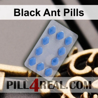 Black Ant Pills 258