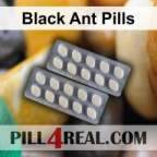 Black Ant Pills 354