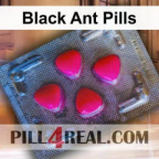 Black Ant Pills 431