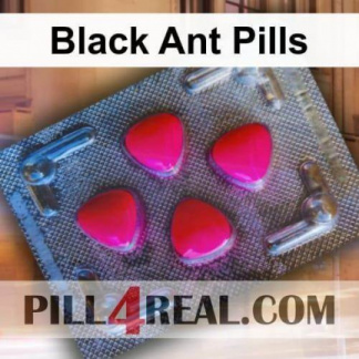 Black Ant Pills 431
