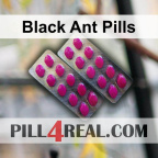 Black Ant Pills 433