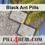 Black Ant Pills 528