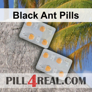 Black Ant Pills 528