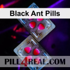 Black Ant Pills 582
