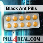 Black Ant Pills 706