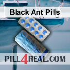 Black Ant Pills 813