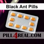 Black Ant Pills 821