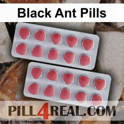 Black Ant Pills 956