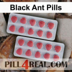 Black Ant Pills 956
