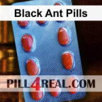 Black Ant Pills 979