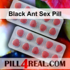 Black Ant Sex Pill 099