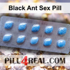 Black Ant Sex Pill 146