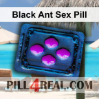 Black Ant Sex Pill 243